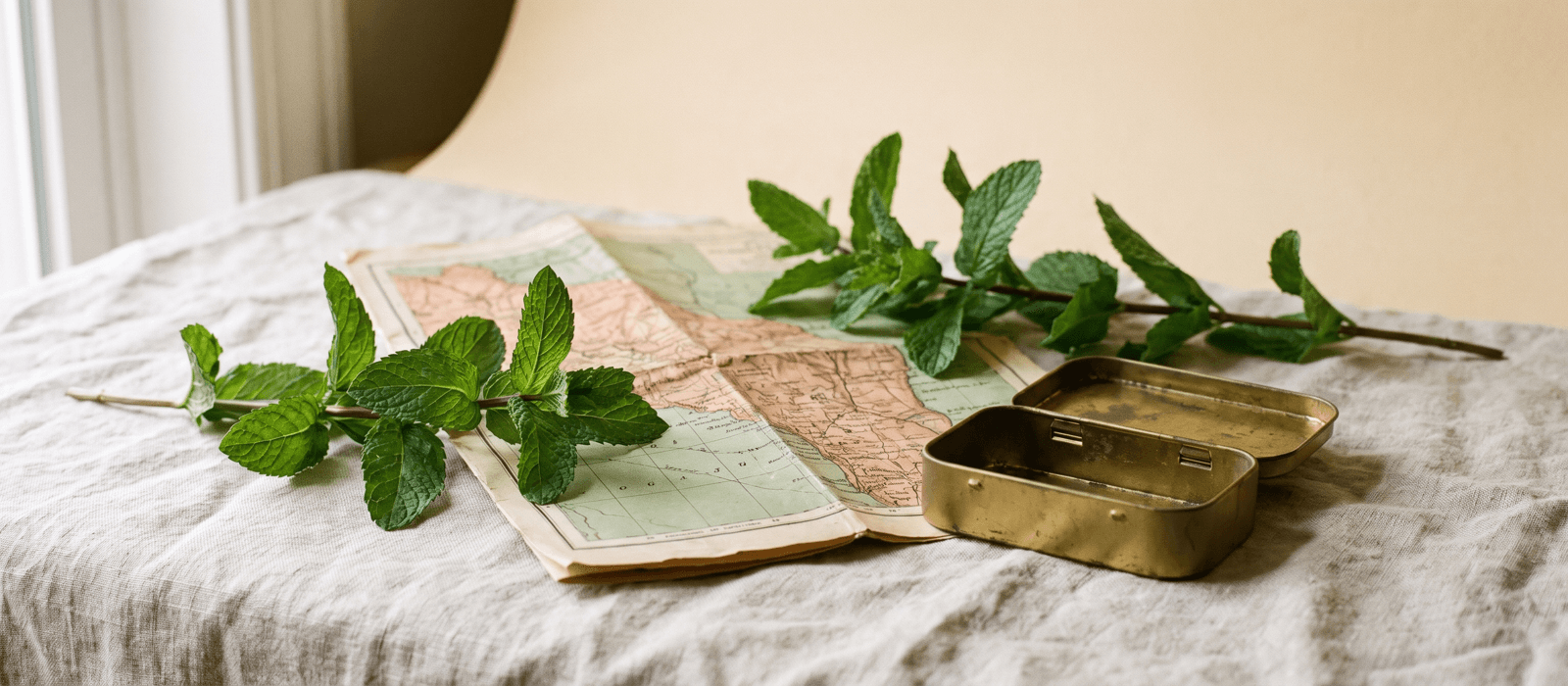 Peppermint sprigs, a folded map, and a small travel tin on linen